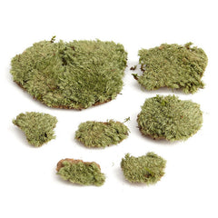 Micro Landscape Ornament