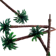 Miniature Coconut Trees