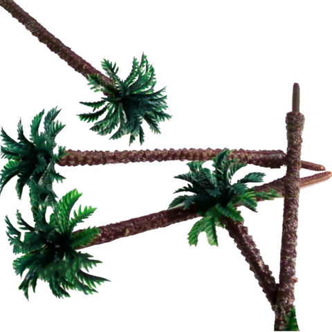 Miniature Coconut Trees