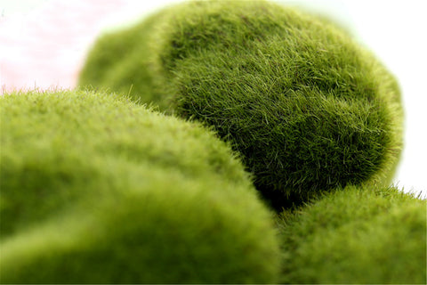 Artificial Mini Green Moss