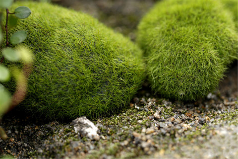 Artificial Mini Green Moss